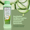 ANYELUZ ARGAN AND ALOE VERA CONDITIONER
