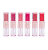 Lip gloss & liquid lip
