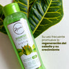 Anyeluz Aloe Vera Shampoo